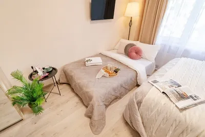 Уютная студия бизнес-класса в ЖК Летний сад — sm.webp