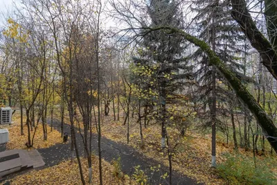 Студия рядом с Микрохирургии глаза имени Федорова — sm.webp