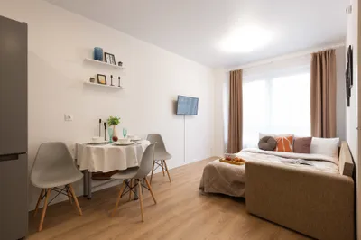 Уютная однушка бизнес класса — xl.webp