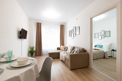 Уютная однушка бизнес класса — sm.webp