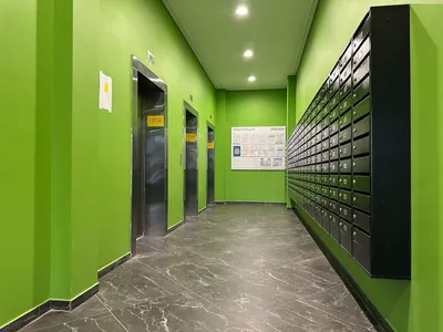 Просторная студия бизнес класса в ЖК Летний Сад — sm.webp