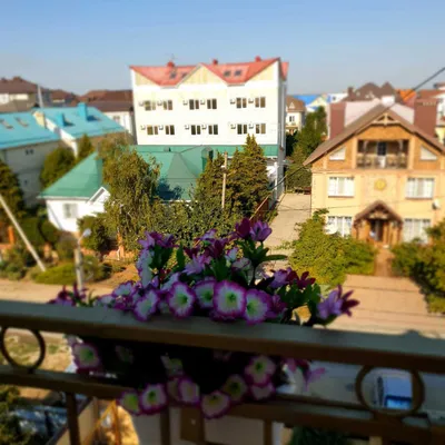 Квартира — sm.webp