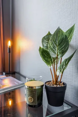 Видовая квартира с балконом у метро — sm.webp