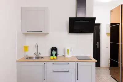 Уютные апартаменты у Елагина — sm.webp