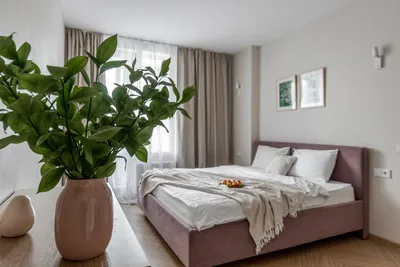 1-комнатная возле Удельного парка — sm.webp