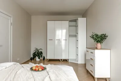 1-комнатная возле Удельного парка — xl.webp