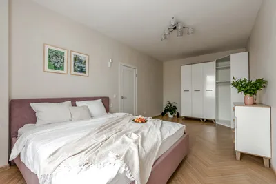 1-комнатная возле Удельного парка — xl.webp