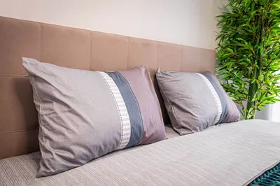 Экспоград в 5-ти минутах — xl.webp