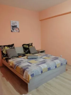 Уютная 1-комнaтнaя квaртиpа со всеми удoбствaми — sm.webp