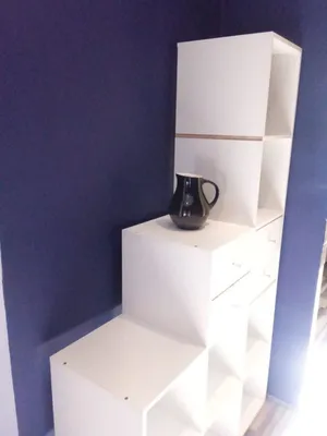 1-комнатная квартира в Москве Барышиха 25к3 — sm.webp