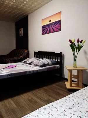 Однокомнатная квартира на Кольцова — xl.webp