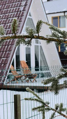 Дом шалаш с купелью, возле озера — xl.webp