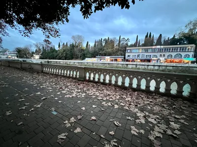 Уютный апартамент с большим балконом  — sm.webp