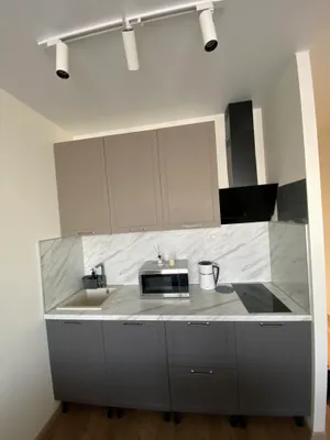 Квартира возле Бизнес-Инкубатора и головы Ленина — xl.webp