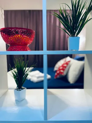 Уютная квартира-студия в центре Санкт-Петербурга — sm.webp