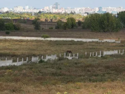 Уютная квартира вдали от городской суеты — sm.webp