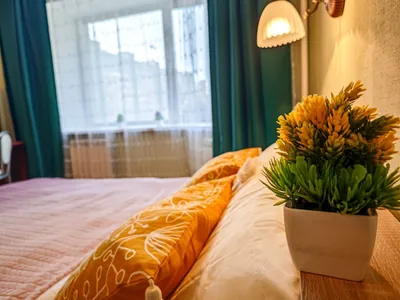 2к квартира на Семьи Шамшиных 18 — sm.webp