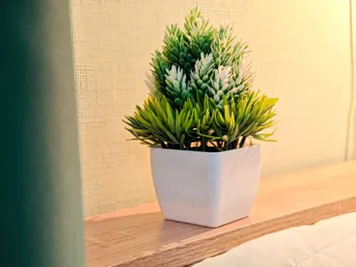 2к квартира на Семьи Шамшиных 18 — sm.webp