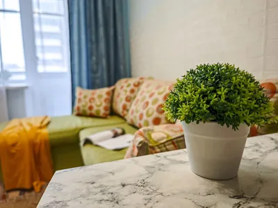 2к квартира на Семьи Шамшиных 18 — sm.webp