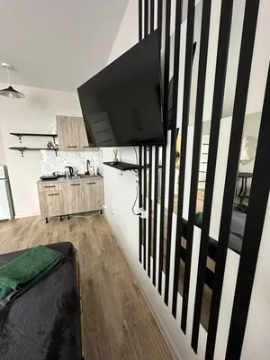 Квартира-студия — sm.webp