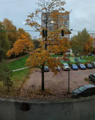 Теплая уютная комната — sm.webp