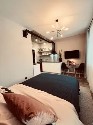 Стильная студия Star Apartments у аэропорта — sm.webp