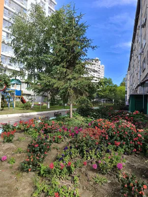 Квартира рядом с Ж/Д вокзалом  — sm.webp