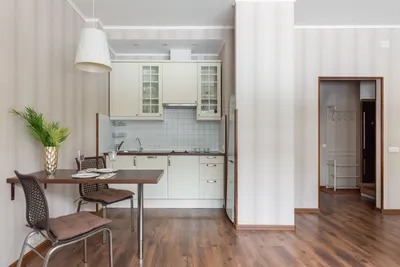 Большая, комфортная студия у м. Московская — sm.webp