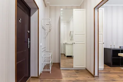 Большая, комфортная студия у м. Московская — sm.webp