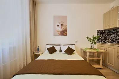 Новай дом. Ремонт, Интернет. Парковка. — xl.webp