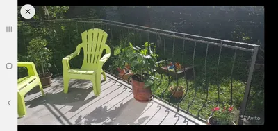 Amalienau Apartment — sm.webp