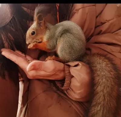 Дом на живописном берегу Волги — sm.webp