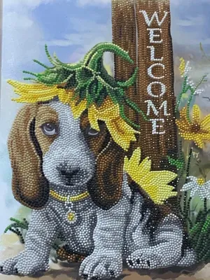 Квартира рядом с ТРК Петровский! — sm.webp