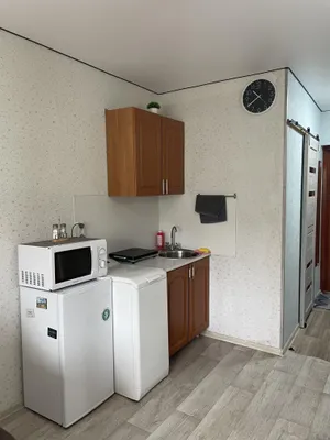 Айхал Астория Екатерина — xl.webp