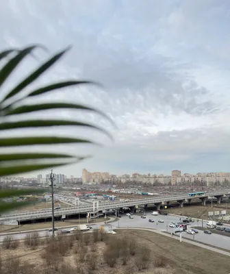 Отличные апартаменты в 2 мин. от метро Купчино — sm.webp