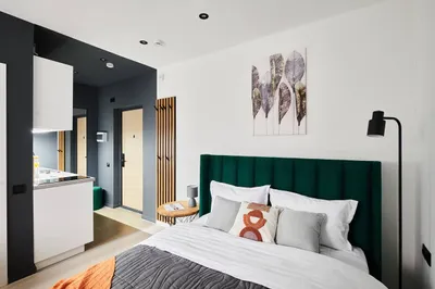 Уютная студия Emerald Honey  — xl.webp