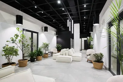 Уютная студия Emerald Honey  — sm.webp