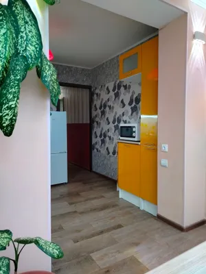 Просторная однокомнатная квартира — sm.webp