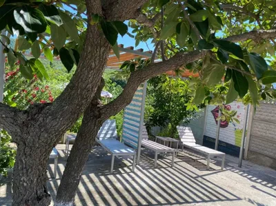 №06 Удобный 5 местн Люкс  2х  комнатный — sm.webp