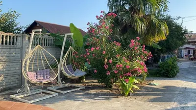 №09 Уютный 3х местн Люкс с видом на море — sm.webp