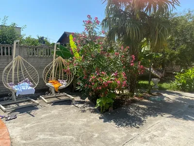 №09 Уютный 3х местн Люкс с видом на море — sm.webp