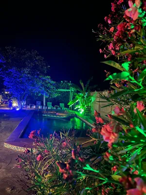 №09 Уютный 3х местн Люкс с видом на море — sm.webp