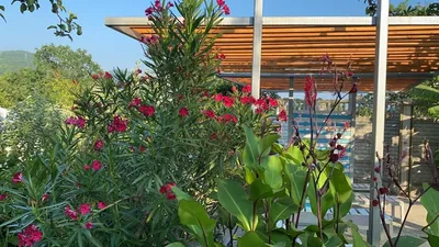 №09 Уютный 3х местн Люкс с видом на море — sm.webp