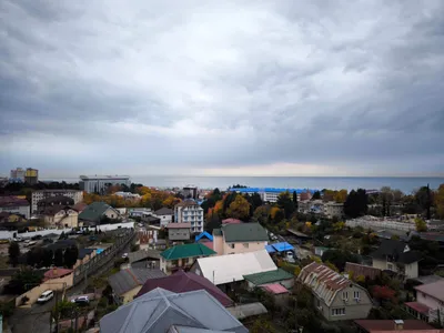 Студия "Ракушка" — sm.webp