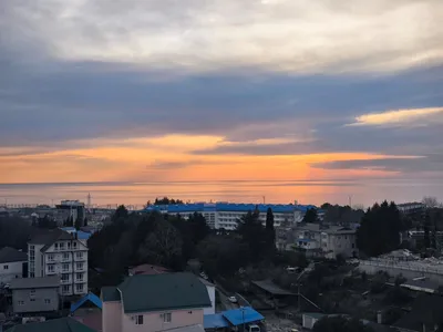 Студия "Ракушка" — sm.webp