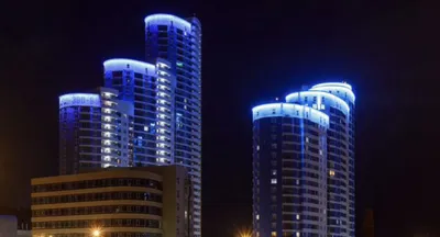 Квартира с видом на сосновый лес  — sm.webp