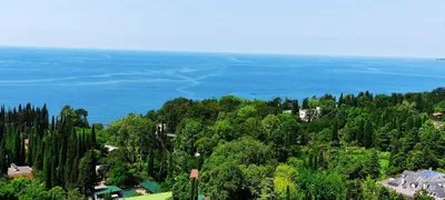 Квартира на Виноградной 4 — sm.webp