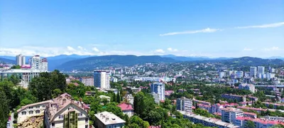 Квартира на Виноградной 4 — sm.webp