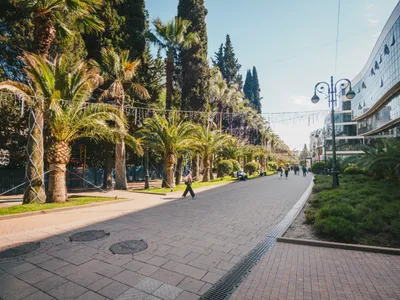 Сочи Навагинская улица, 11 — sm.webp