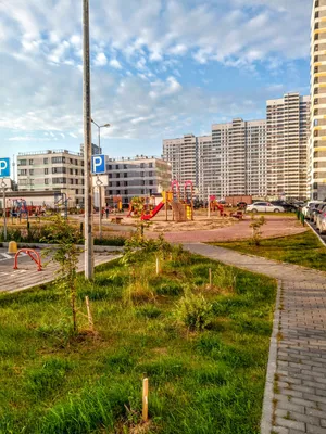 Студия Лаванда — sm.webp